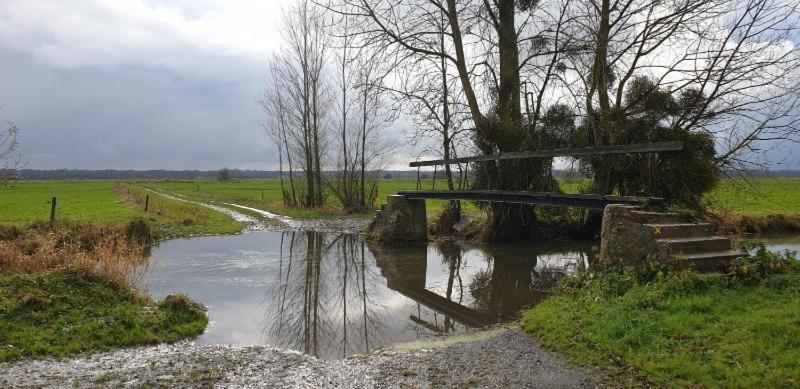 Charming Cottage Du Marais Dday Omaha Beach Canchy  Buitenkant foto